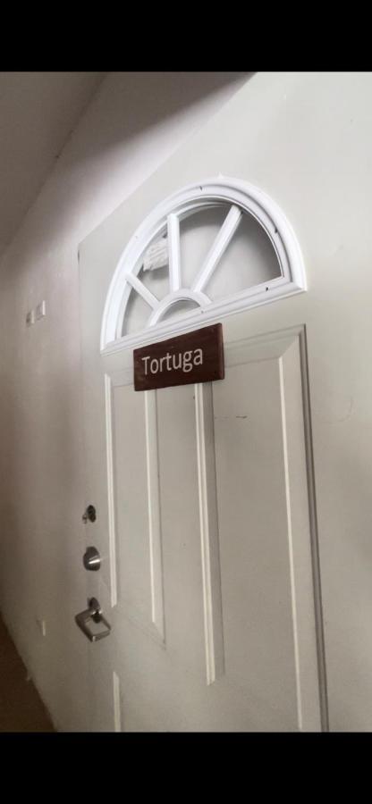 Habitacion Tortuga Casa Maria Bonita El Cuyo Bagian luar foto